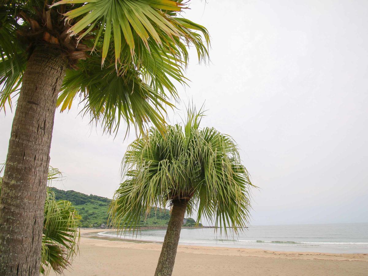 Hotel Drive Inn Yataro Nichinan Exterior photo